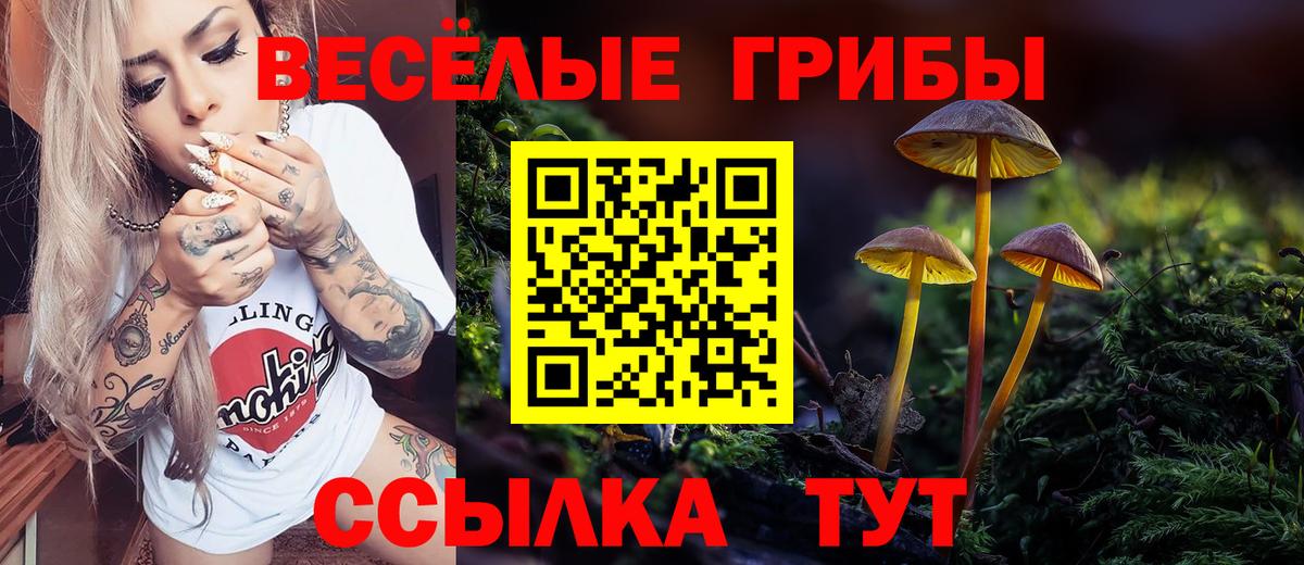 Псилоцибиновые грибы GOLDEN TEACHER Топки